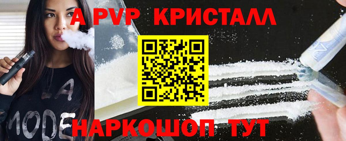 Alfa_PVP СК Курчалой
