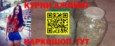 гидра Гагарин
