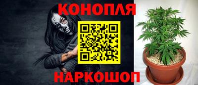 гидра Гагарин