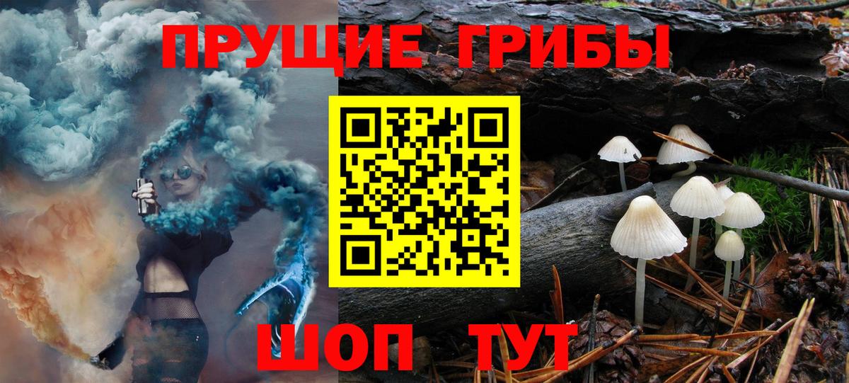 Курчалой  Псилоцибиновые грибы Magic Shrooms  Вход с VPN  Галлюциногенные грибы Cubensis 